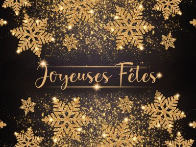 Jupe de bac frais - Cristaux Joyeuses Fêtes